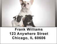 French Bulldogs Address Labels | LBQBB-54