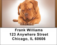 French Mastiff Address Labels | LBQBB-55