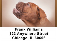 French Mastiff Address Labels | LBQBB-55