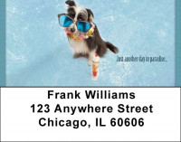 Gotta Wear Shades Address Labels | LBQBB-56