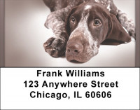 German Shorthaired Pointer Address Labels | LBQBB-58
