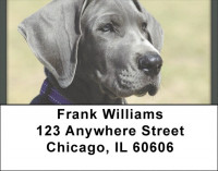 Blue Great Dane Address Labels | LBQBB-59