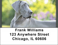 Blue Great Dane Address Labels | LBQBB-59