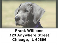 Blue Great Dane Address Labels | LBQBB-59