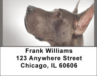 Great Dane Address Labels | LBQBB-60
