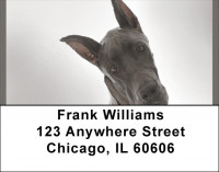 Great Dane Address Labels | LBQBB-60