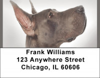 Great Dane Address Labels | LBQBB-60