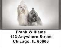Havanese Address Labels | LBQBB-61