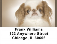 Japanese Chin Address Labels | LBQBB-64
