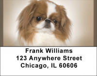 Japanese Chin Address Labels | LBQBB-64