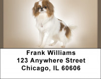 Japanese Chin Address Labels | LBQBB-64