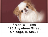 Japanese Chin Portrait Address Labels | LBQBB-65