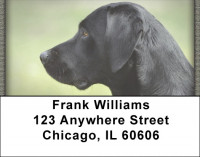Black Labs Address Labels | LBQBB-66