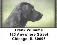 Black Labs Address Labels | LBQBB-66