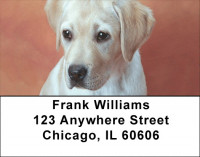 Yellow Labrador Puppies Address Labels | LBQBB-73