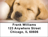 Yellow Labrador Puppies Address Labels | LBQBB-73