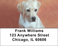 Yellow Labrador Puppies Address Labels | LBQBB-73