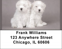 Maltese Address Labels | LBQBB-74