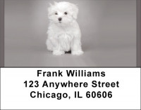 Maltese Address Labels | LBQBB-74