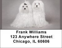 Maltese Address Labels | LBQBB-74