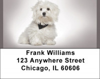 Maltese Address Labels | LBQBB-74