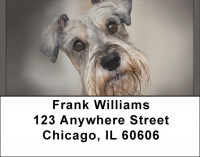 Miniature Schnauzers Address Labels | LBQBB-75