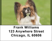 Pampered Papillon Address Labels | LBQBB-77