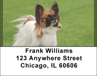 Pampered Papillon Address Labels | LBQBB-77