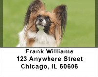 Pampered Papillon Address Labels | LBQBB-77