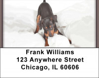 Playful Pincher Address Labels | LBQBB-80