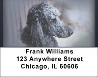 Black And Grey Poodle Address Labels | LBQBB-85