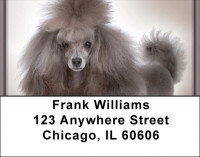 Posh Poodle Address Labels | LBQBB-86
