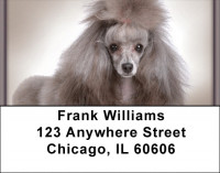 Posh Poodle Address Labels | LBQBB-86