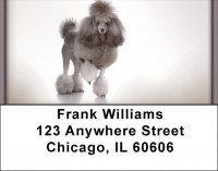 Posh Poodle Address Labels | LBQBB-86
