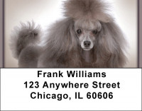 Posh Poodle Address Labels | LBQBB-86