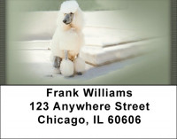 White Standard Poodle Address Labels | LBQBB-87