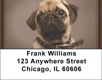 Precious Pugs Address Labels | LBQBB-89