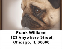 Precious Pugs Address Labels | LBQBB-89