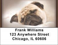 Precious Pugs Address Labels | LBQBB-89