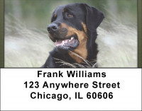 Rottweiler Patrol Address Labels | LBQBB-90