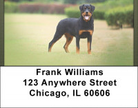 Rottweiler Patrol Address Labels | LBQBB-90