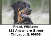 Rottweiler Patrol Address Labels | LBQBB-90