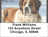 Saint Bernards Address Labels | LBQBB-91