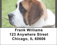 Saint Bernards Address Labels | LBQBB-91