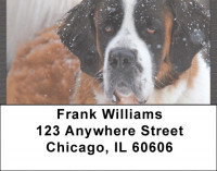 Saint Bernards Address Labels | LBQBB-91