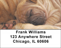 Sharpei Puppies Address Labels | LBQBB-93