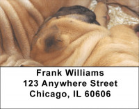 Sharpei Puppies Address Labels | LBQBB-93