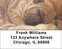 Sharpei Puppies Address Labels | LBQBB-93
