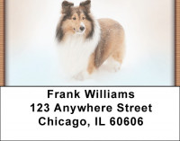 Shetland Sheepdog Address Labels | LBQBB-94