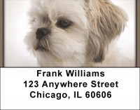 Shih Tzu Portraits Address Labels | LBQBB-95